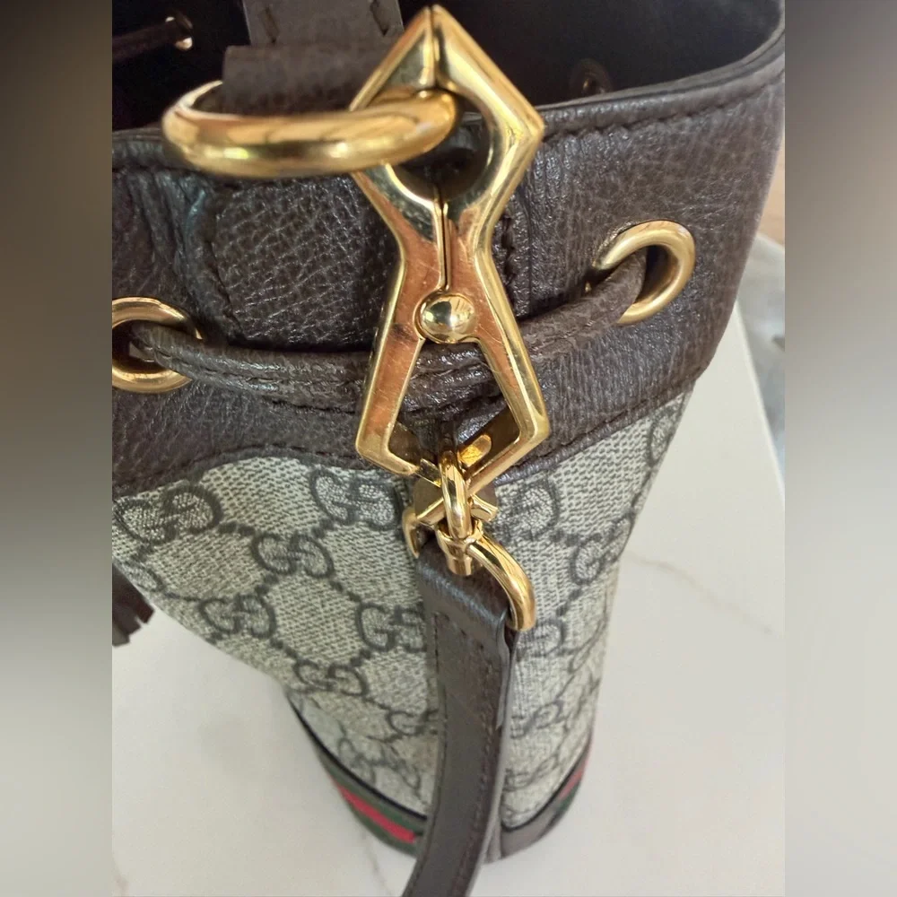 Gucci Brown GG Supreme Small Bucket Bag with Green Red Stripe w organizer COA - Picture 6 of 7